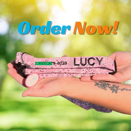 Personalized Dog Collars & Matching Leashes