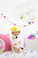 Pet Birthday Hat & Bandana 2 Pc. Set