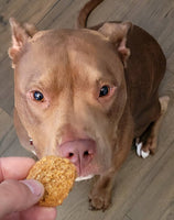 All Natural Dog Treats - Soft Chew - Peanut Butter & Blueberry