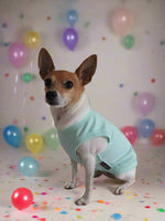 happy birthday cute dog shirt blue with black embroidered writing that says its my birthday. and a cupcake on the shirt