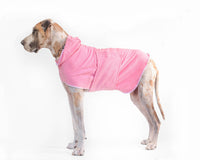 Microfiber Pet Bathrobe - Dog Hooded Bath towel: - Blue