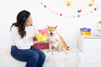 Pet Birthday Hat & Bandana 2 Pc. Set