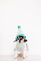 Pet Birthday Hat and Bandana Photo Prop Set