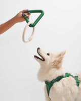 Triangle & Rope Tug Dog Chew Toy - 2 Sizes