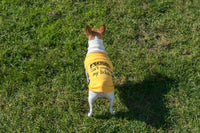 Cotton Dog Tee Shirt - Can't Control My Licker - Yellow