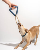 Triangle & Rope Tug Dog Chew Toy - 2 Sizes