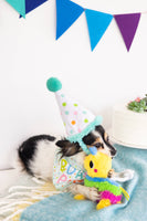 Pet Birthday Bandana and Hat Set - 2 Pc