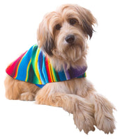 Handmade Dog Poncho From Authentic Mexican Serape - Blue or Pink