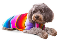 Handmade Dog Poncho From Authentic Mexican Serape - Blue or Pink