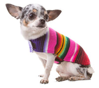 Handmade Dog Poncho From Authentic Mexican Serape - Blue or Pink