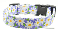 Purple Daisy Floral Pet Collar