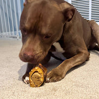 Beef Femur Bone Stuffed with Real Peanut Butter