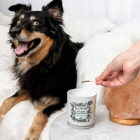 Pet~Pourri Pawsitively Fresh 2-in-1 Pet Candle 7.5oz