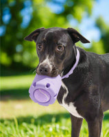 Tennis Ball Tumbler Interactive Dog Toy