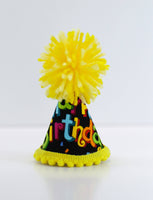 Pet Birthday Party Hat - Handmade in the USA