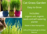 Organic Cat Grass Garden Kit - Made in the USA