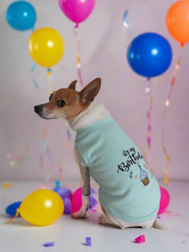 Pet Birthday Boy Dog Tee Shirt