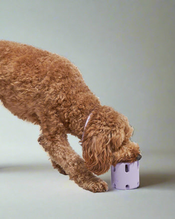 tumbler interactive dog toy