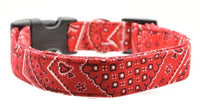 Customizable Pet ID Collar - Embroidered Name / Phone # - Fun Prints