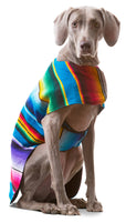 Handmade Dog Poncho From Authentic Mexican Serape - Blue or Pink