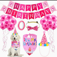 Pet Birthday Celebration Photo Prop 5 Pc Set - Pink or Blue