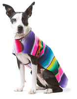 Handmade Dog Poncho From Authentic Mexican Serape - Blue or Pink