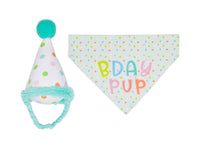 Pet Birthday Bandana and Hat Set - 2 Pc